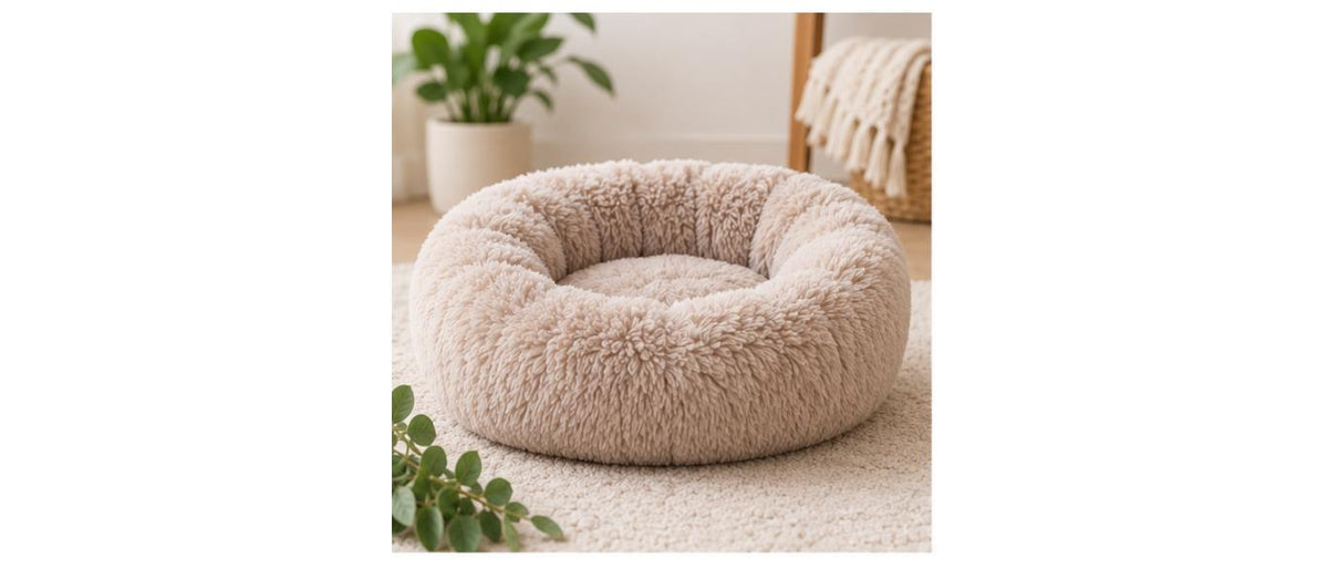 Beds & Furniture