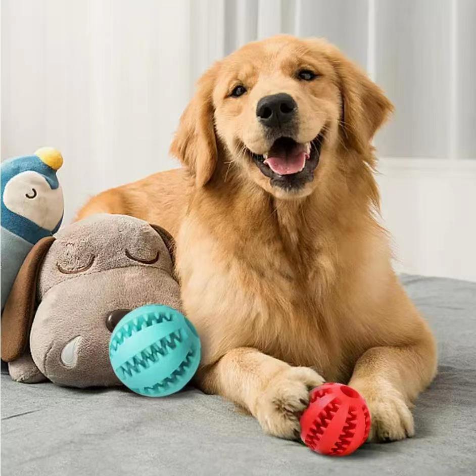 Dog playing with the treat ball