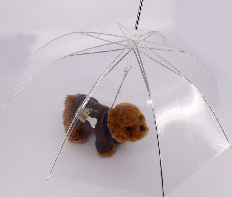 Clear dog umbrella from above