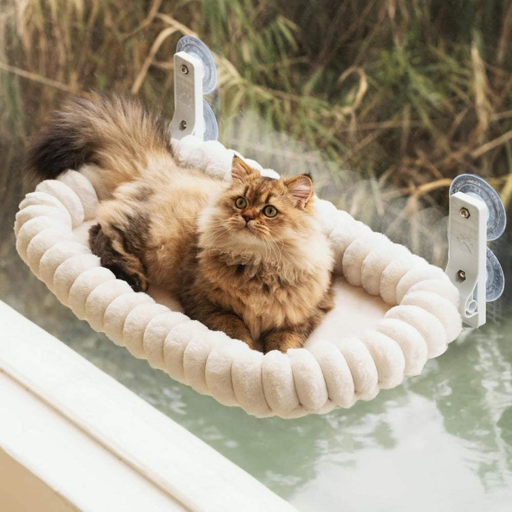 Fluffy cat on the window bed
