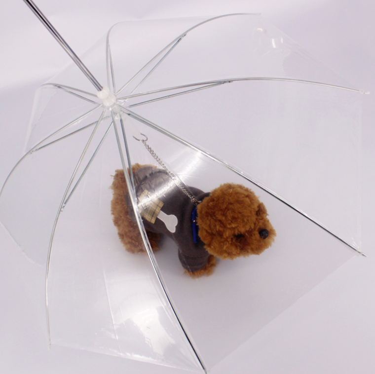 Dog umbrella with chain attachment