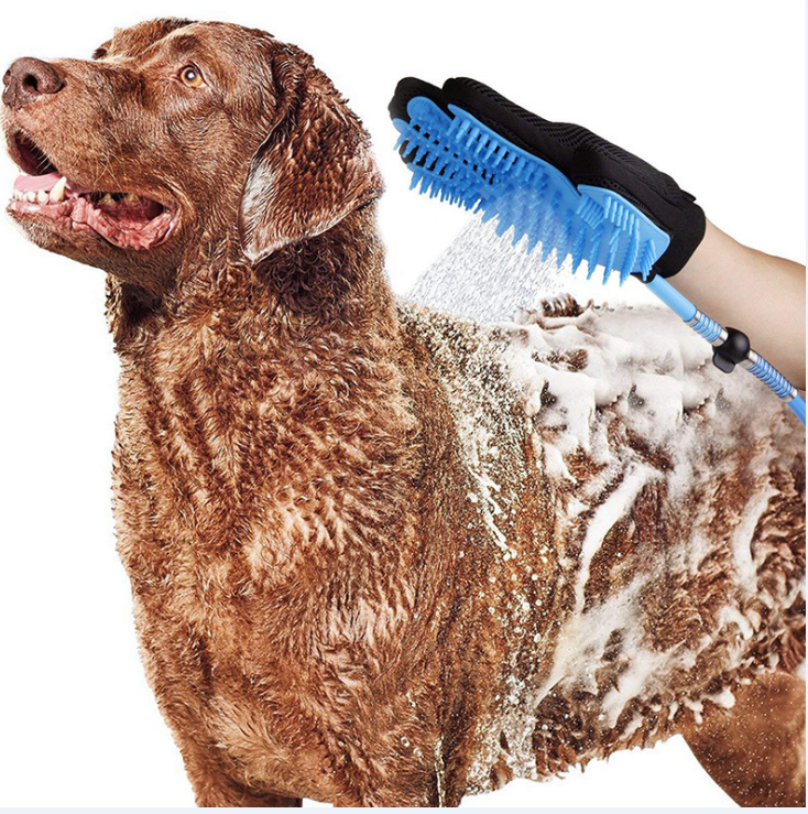 Washing a dog with the shower glove