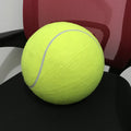 Giant 24 cm tennis ball for dogs
