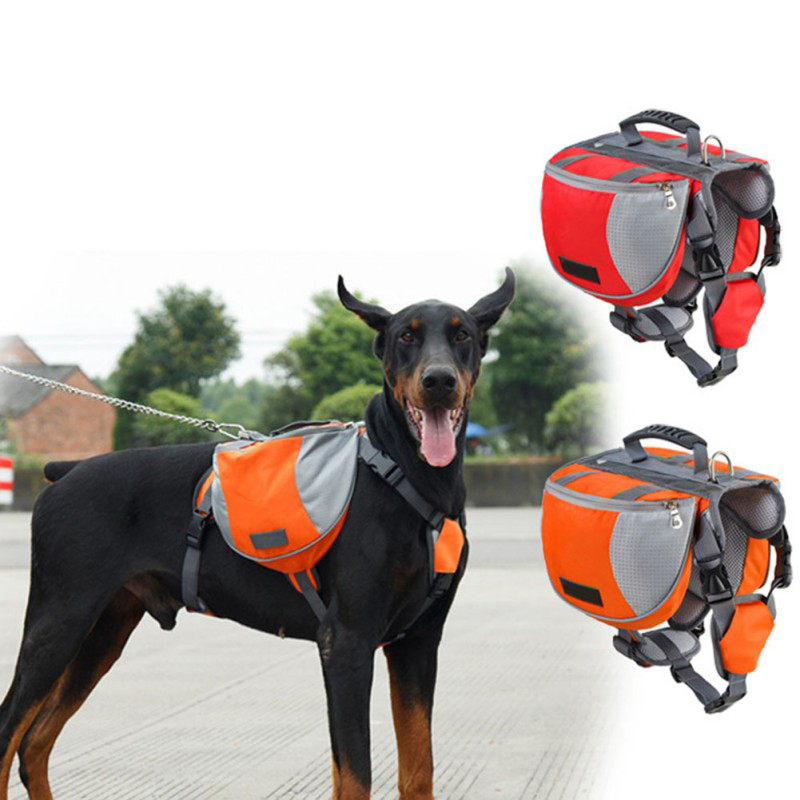 Dog wearing the hiking backpack