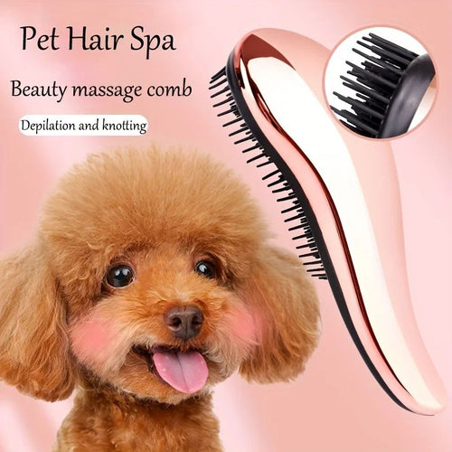 2-in-1 Grooming Comb & Massage Brush