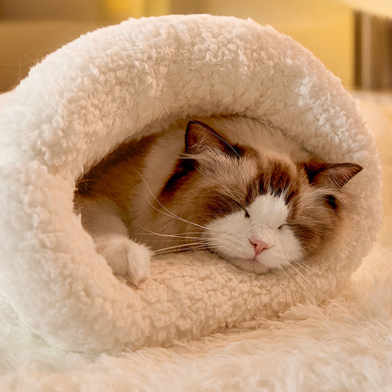 Cat curled up inside the sleeping bag