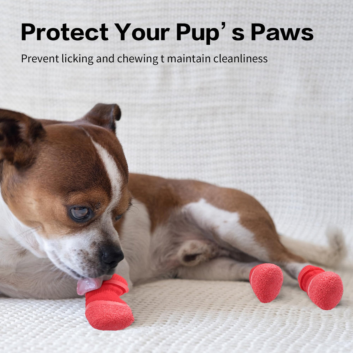 Anti-Slip Dog Socks with Rubber Sole