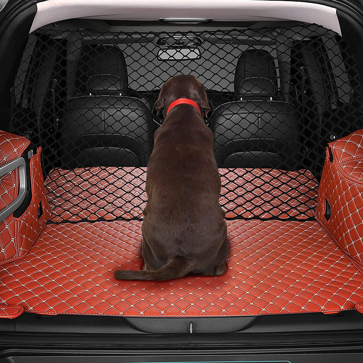Dog sitting in the boot with barrier net in place