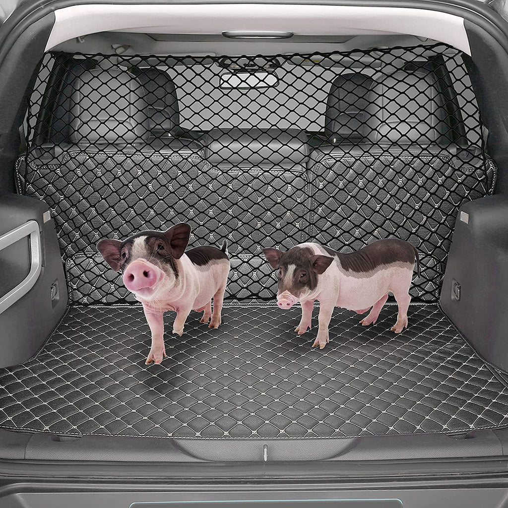 Small dogs in the boot behind the barrier net