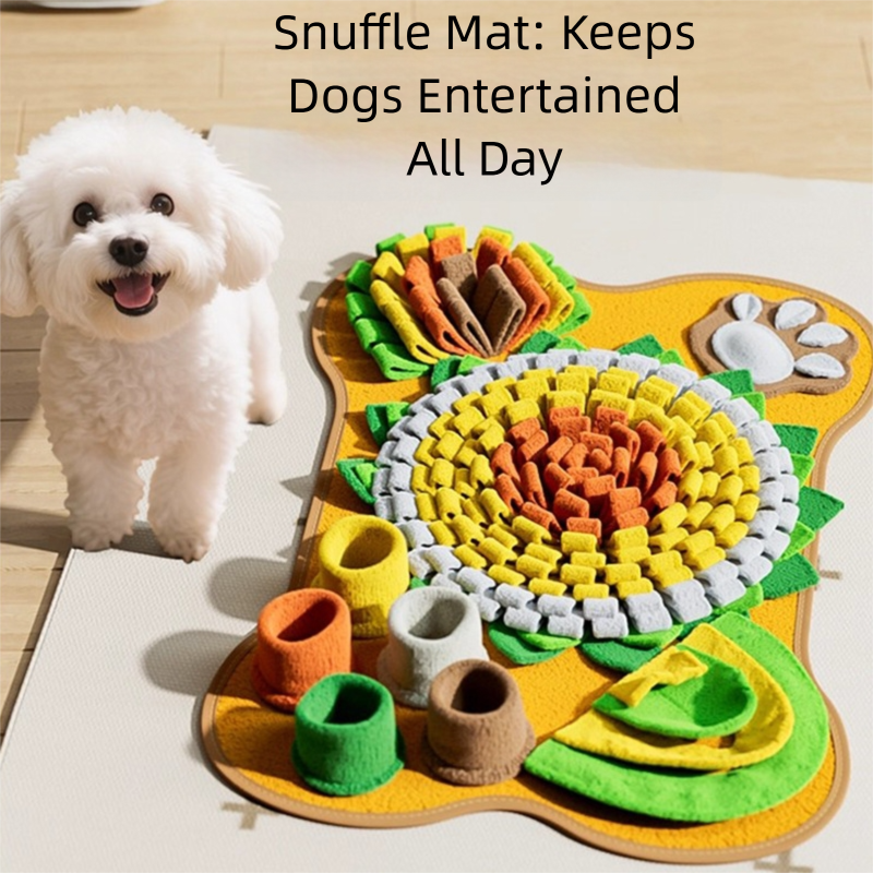 Snuffle Mat for Dogs – Food Search