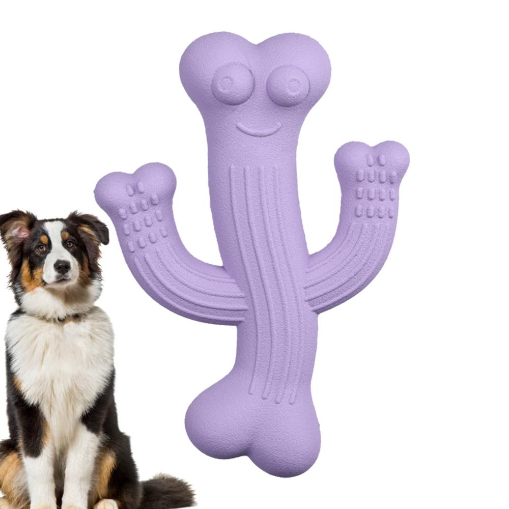 Cactus chew toy – purple