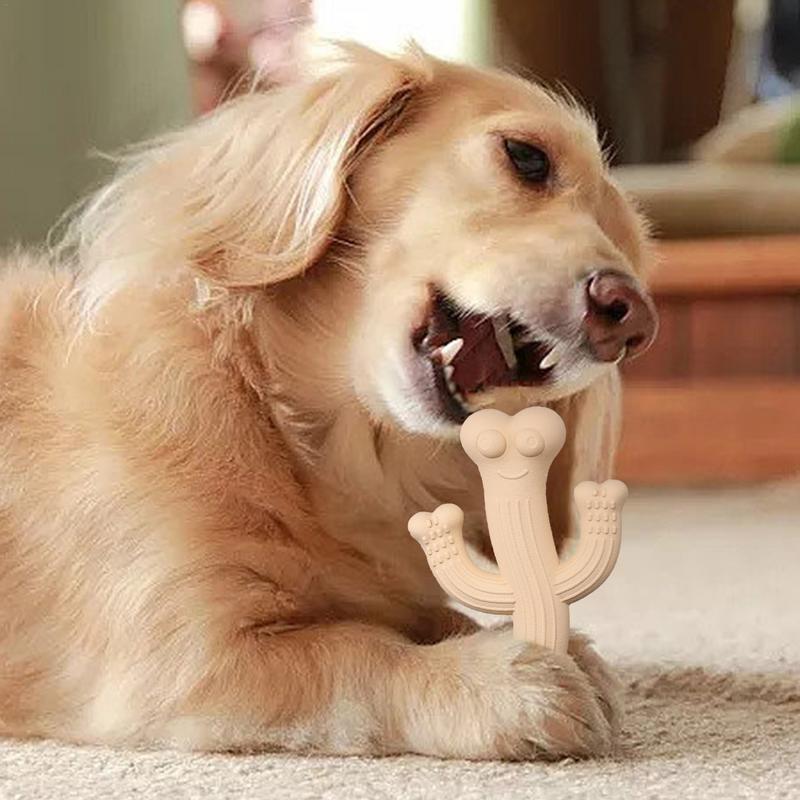 Dog chewing the cactus toy