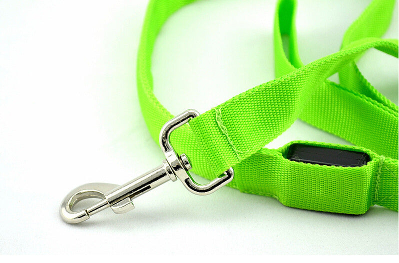 LED dog lead – metal snap hook and switch