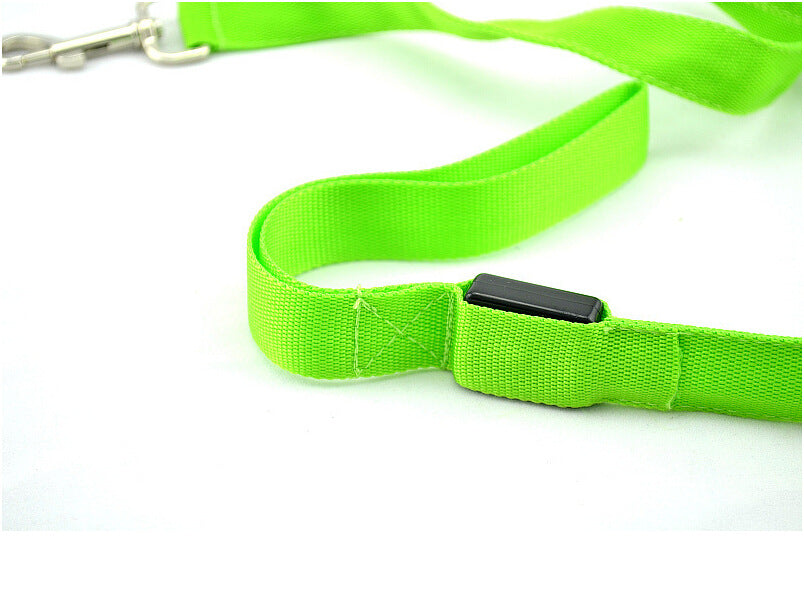 LED dog lead – metal snap hook and switch