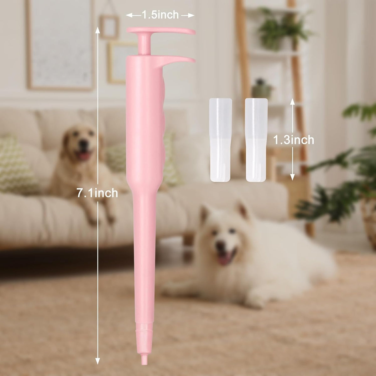 Pink pill dispenser next to a dog