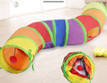 Cat playing in the rainbow tunnel