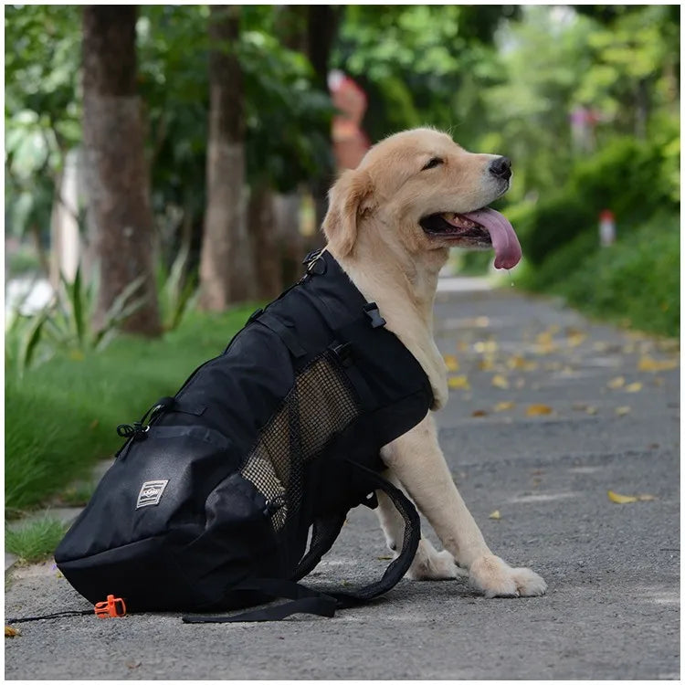 Hiking Pet Backpack – Ventilated Carrier for Small Dogs & Cats
