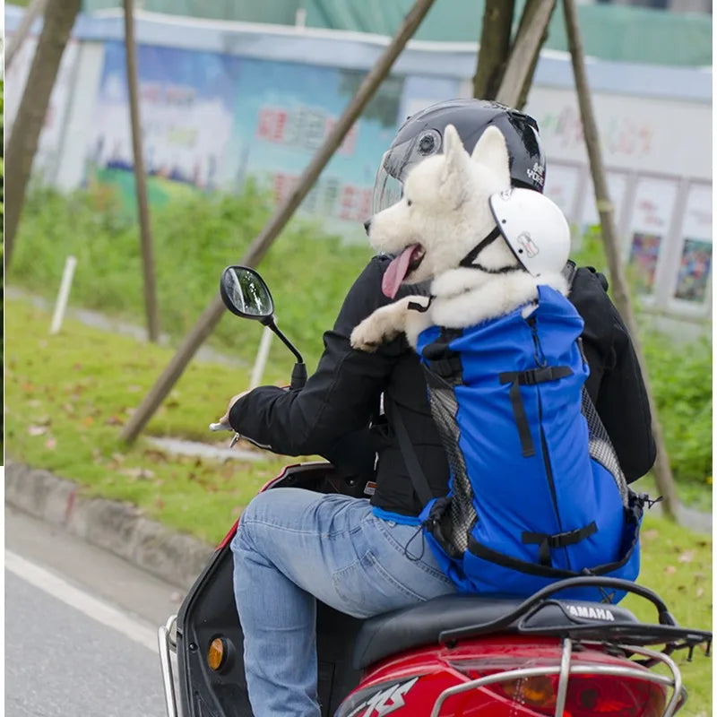 Hiking Pet Backpack – Ventilated Carrier for Small Dogs & Cats