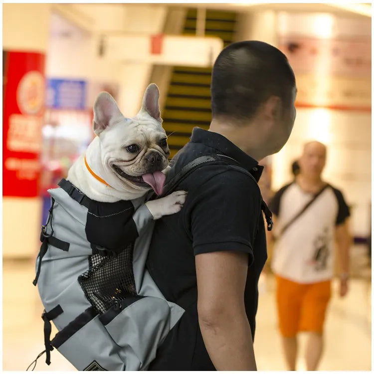Wander-Rucksack für Haustiere – Belüftete Transporttasche für kleine Hunde & Katzen