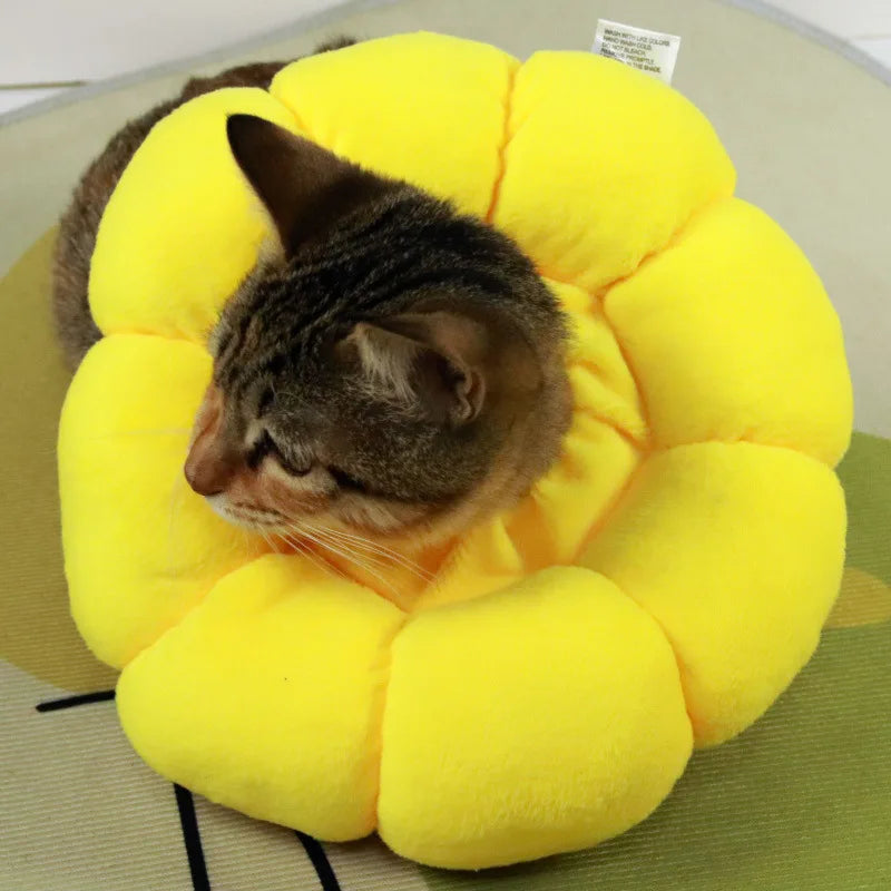 Soft Recovery Collar for Cats & Small Dogs – Adjustable Plush Cone