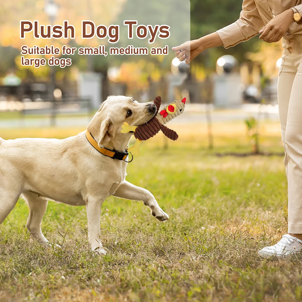 Squeaky Plush Dog Toys - Set of 5