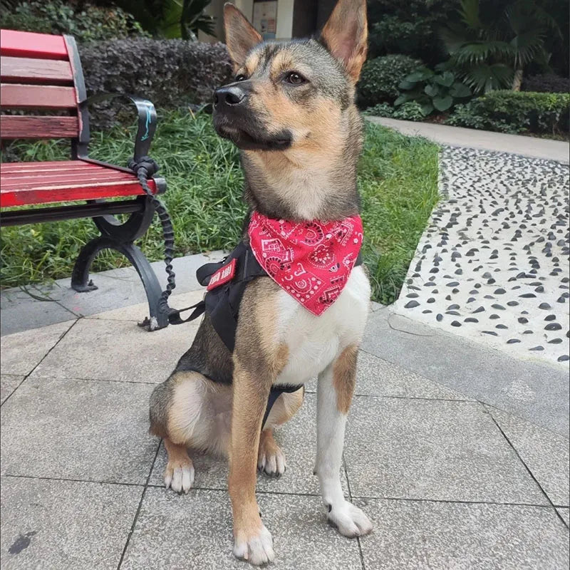 Paisley Pet Bandana – Adjustable Collar Scarf for Dogs & Cats