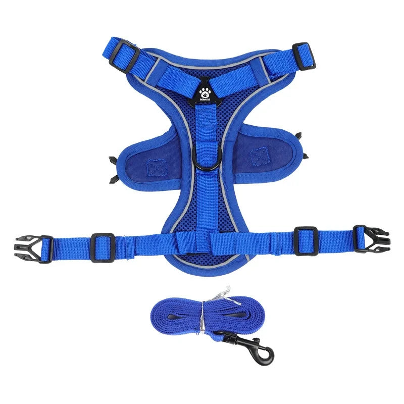 No-Pull Dog Harness & Lead Set