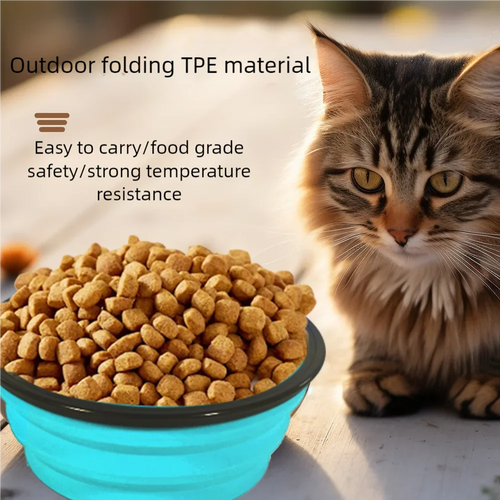 Collapsible Silicone Pet Bowl – Portable Travel Food & Water Bowl