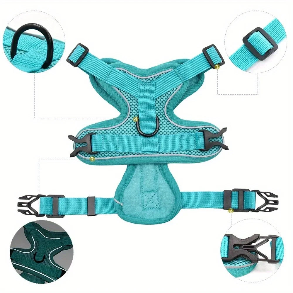 No-Pull Dog Harness & Lead Set