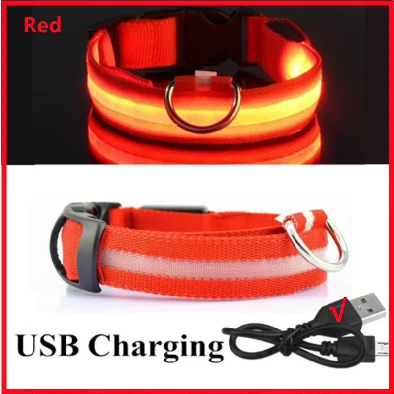 LED Dog Collar – USB Rechargeable Light-Up Collar, 3 Modes