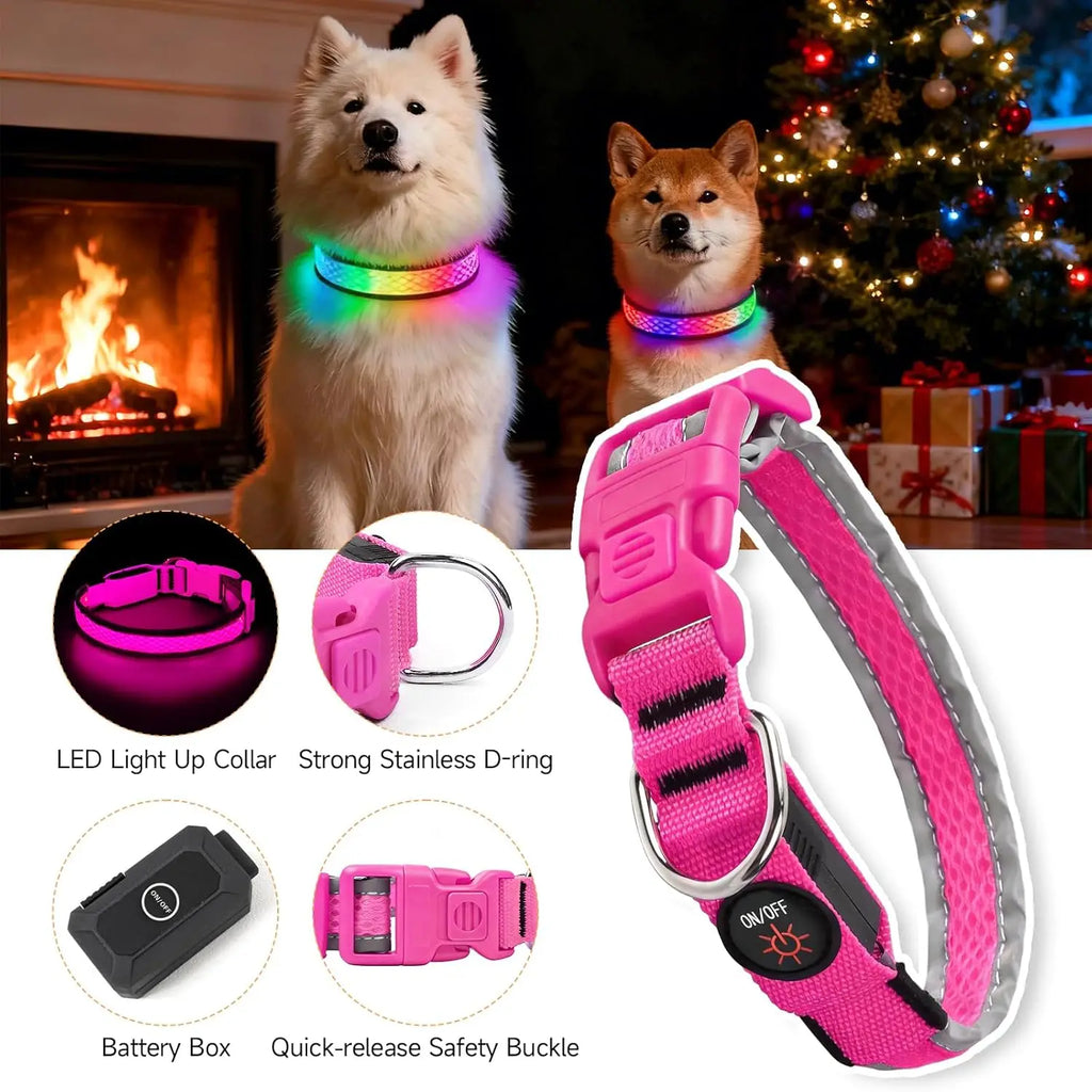 LED Safety Collar - USB Rechargeable, 3 Modes
