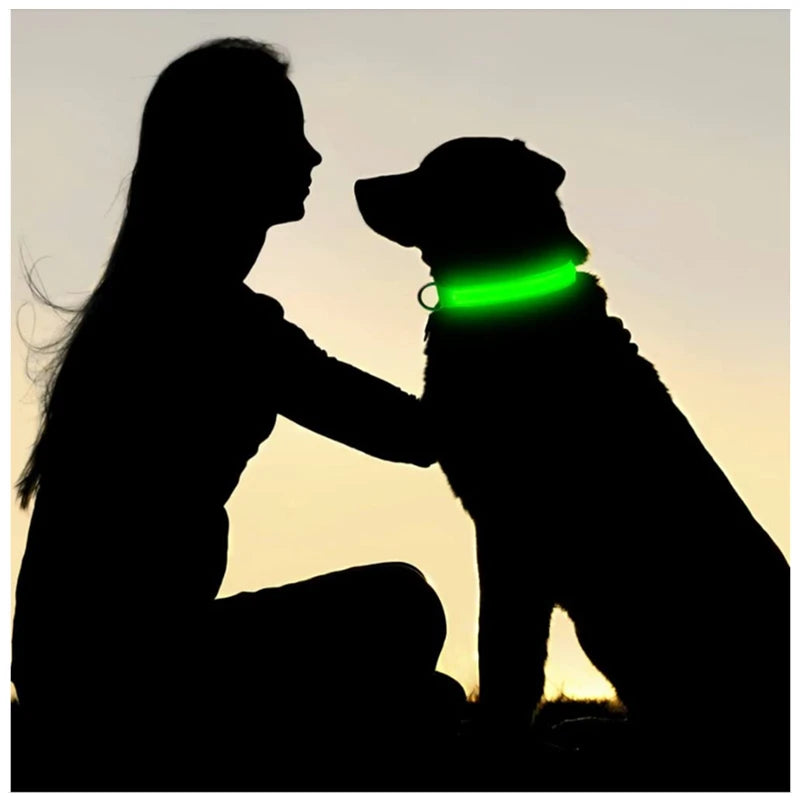 LED Dog Collar – USB Rechargeable Light-Up Collar, 3 Modes