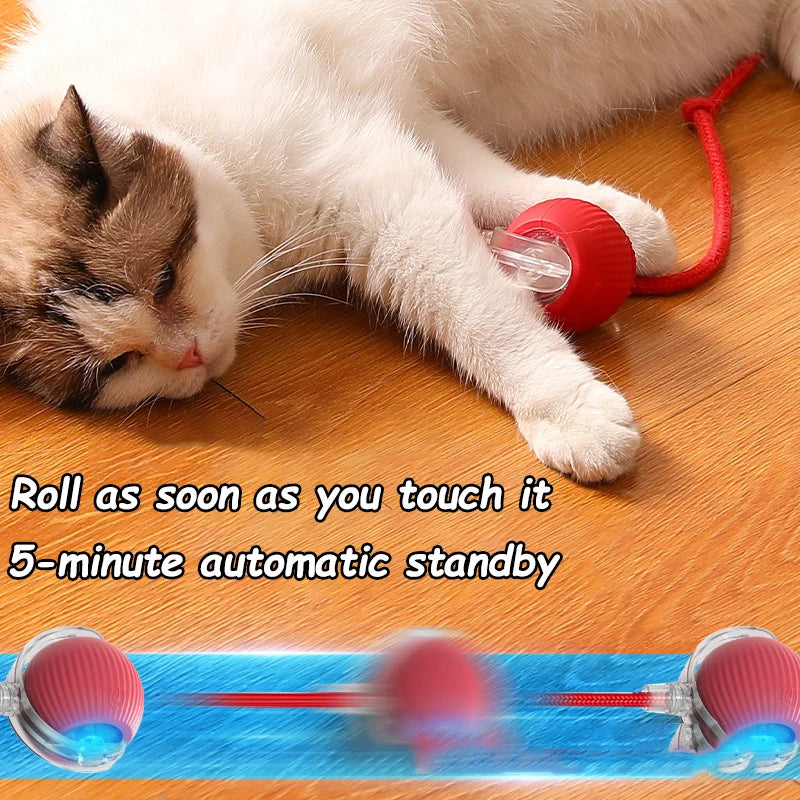 Self-Rolling Cat Ball – Rechargeable Toy with Teaser Tail