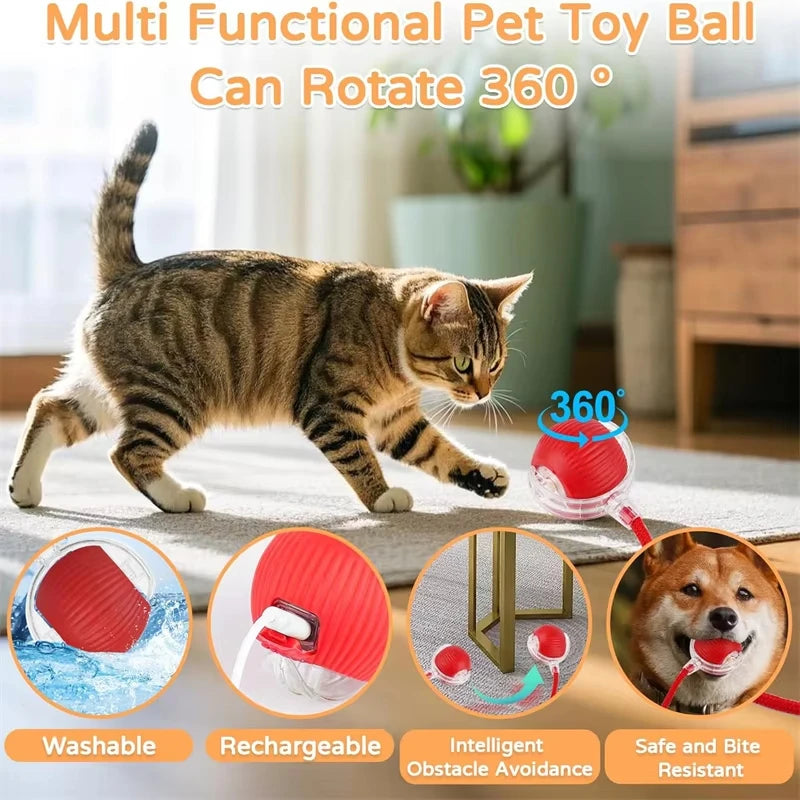 Self-Rolling Cat Ball – Rechargeable Toy with Teaser Tail