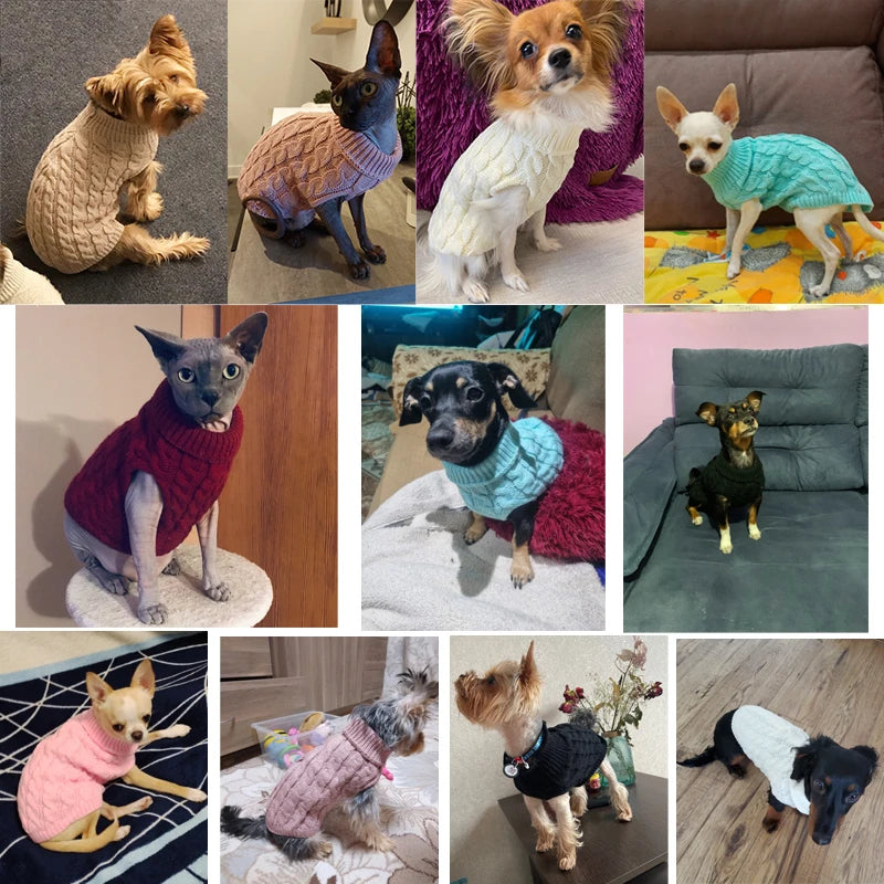 Knitted Turtleneck Dog Sweater – Warm Winter Jumper for Small Dogs