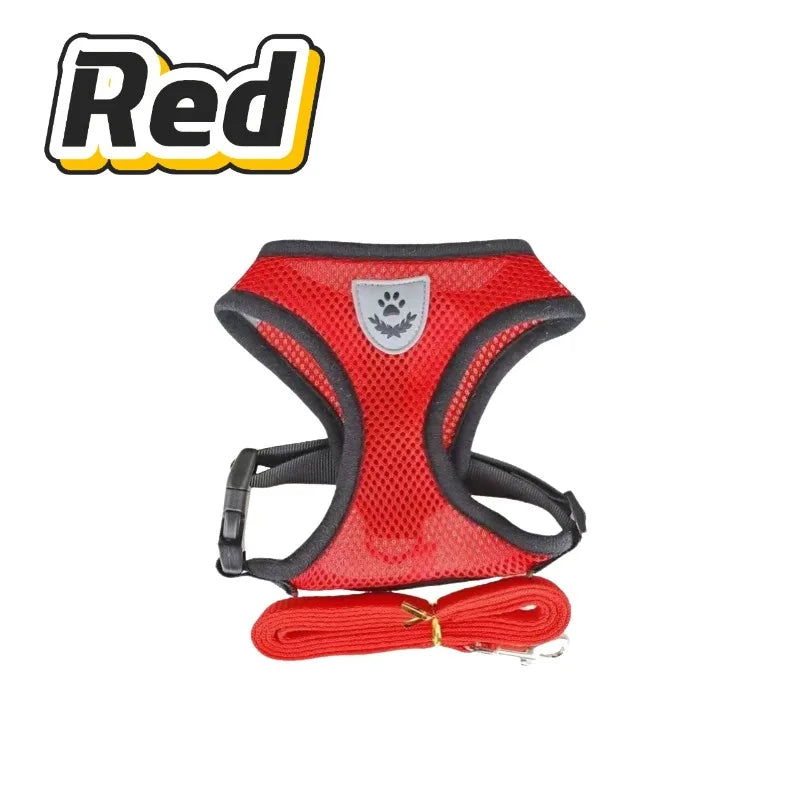 Cat Harness & Lead Set - Padded Mesh Vest