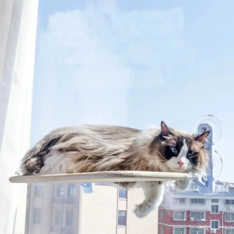 Cat Window Hammock – Suction Cup Window Bed