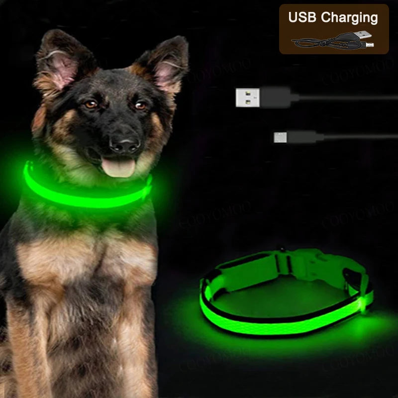LED Dog Collar – USB Rechargeable Light-Up Collar, 3 Modes