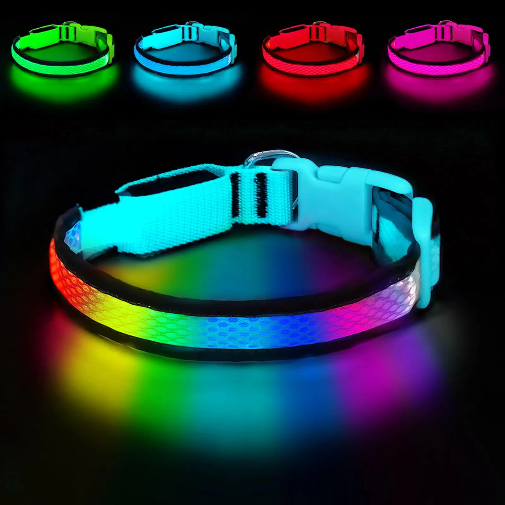 LED Safety Collar - USB Rechargeable, 3 Modes
