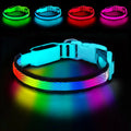 LED Safety Collar - USB Rechargeable, 3 Modes