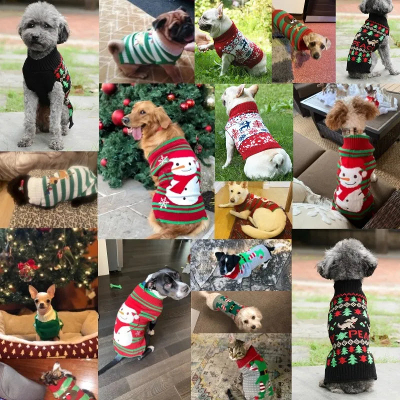 Cartoon Knit Dog Coat – Warm Winter Sweater for Small to Large Dogs