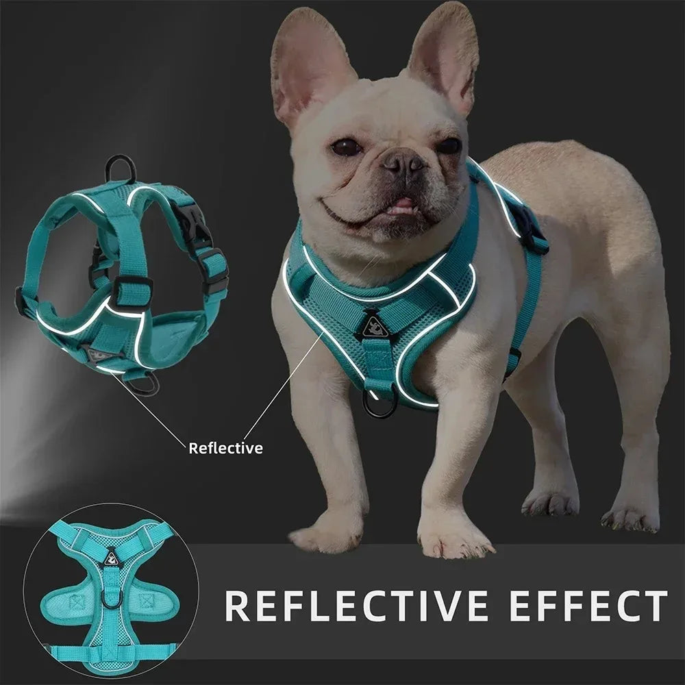 No-Pull Dog Harness & Lead Set