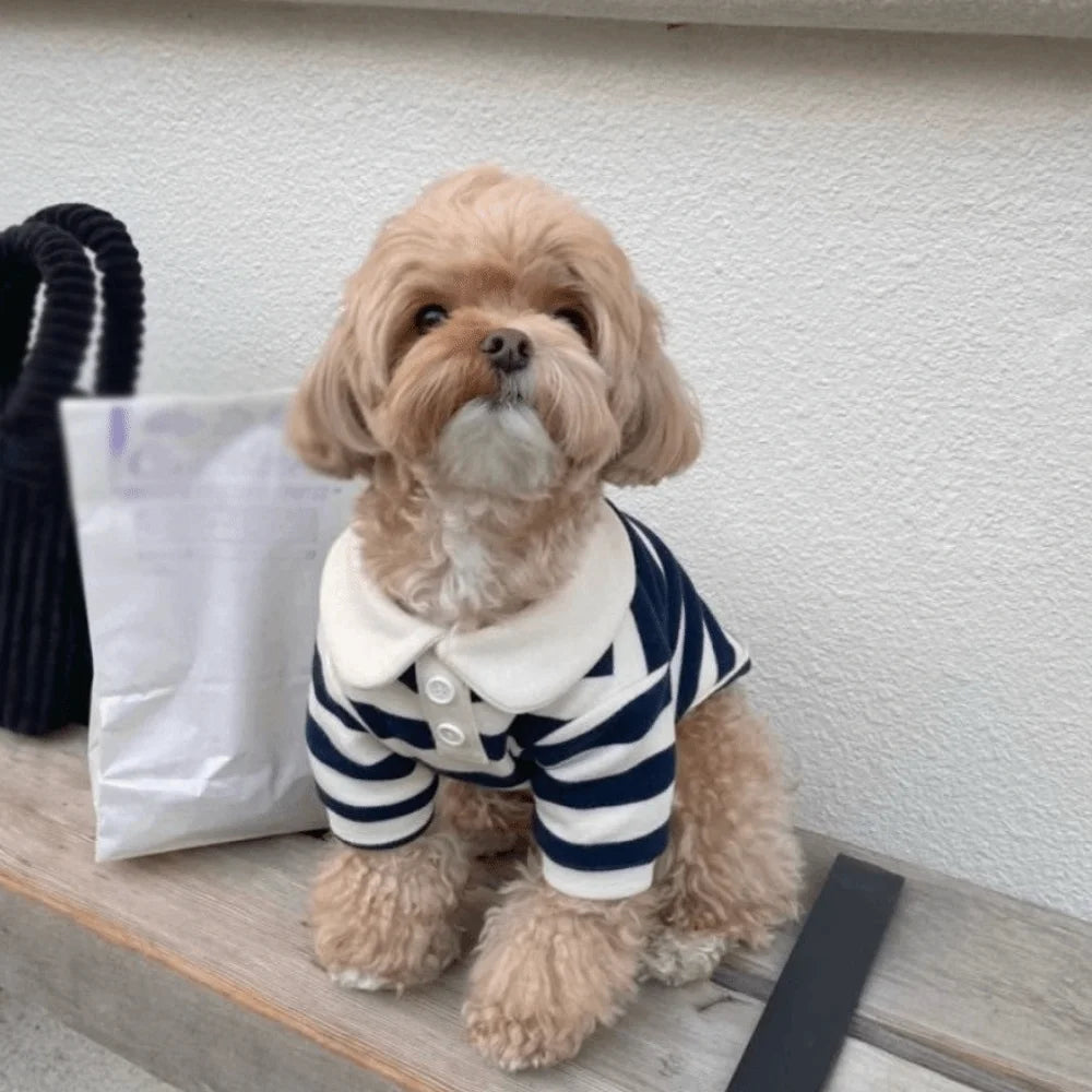 Gestreiftes Hunde-Poloshirt – Weiches T-Shirt mit Kragen für kleine Hunde