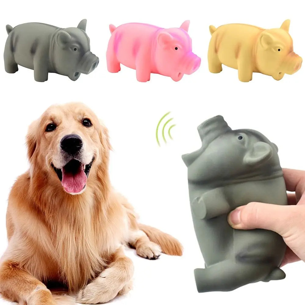 Grunting Pig Dog Toy – Soft Latex Squeaker
