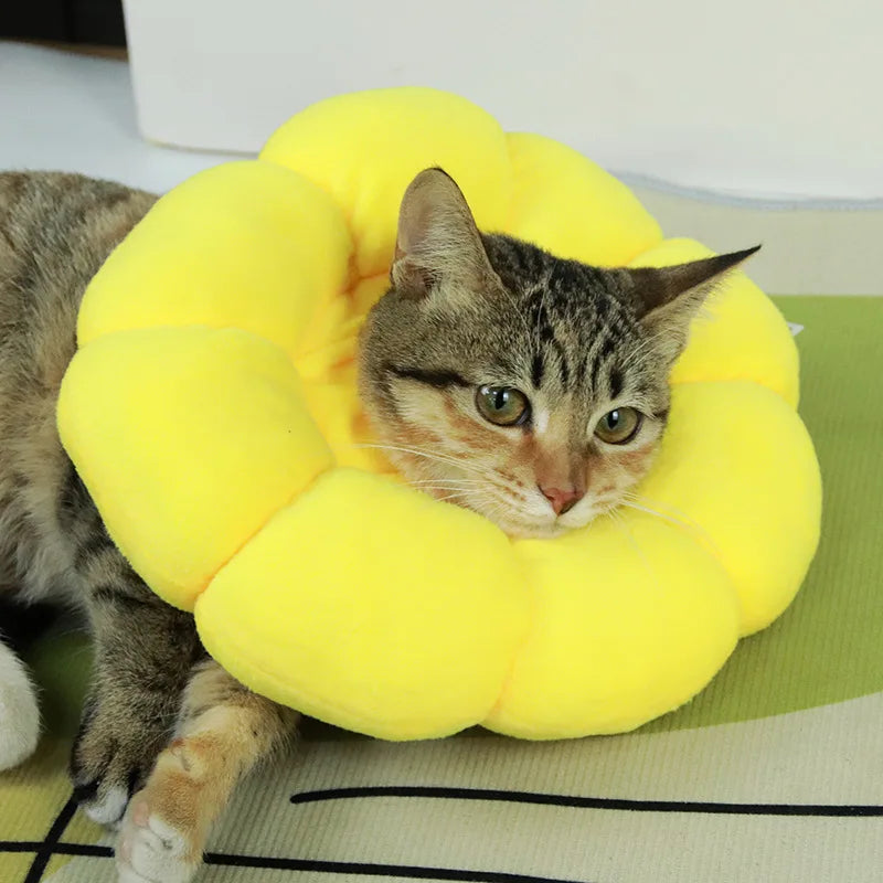 Soft Recovery Collar for Cats & Small Dogs – Adjustable Plush Cone