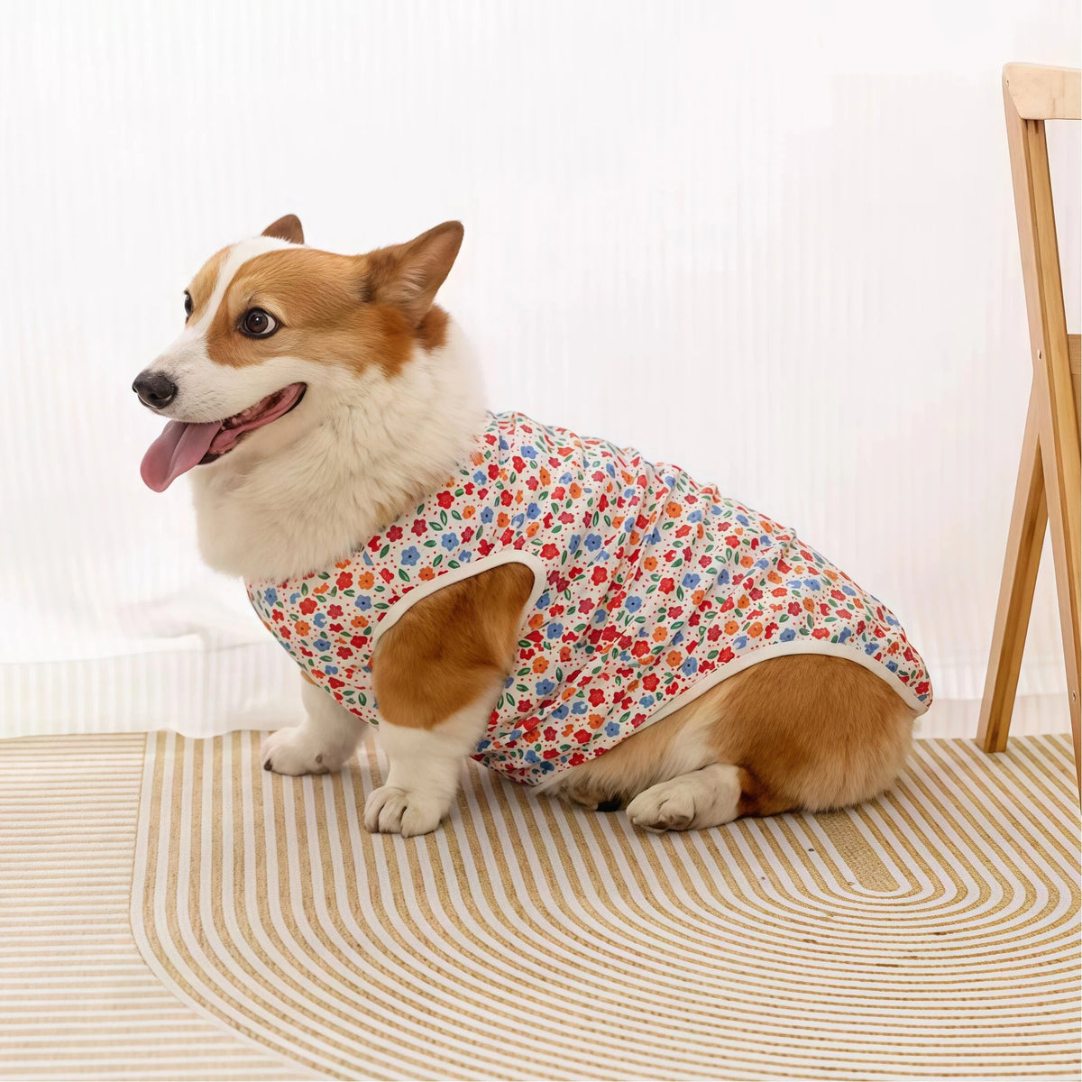 Sommer-T-Shirt für Hunde – Leichte, atmungsaktive Baumwollweste