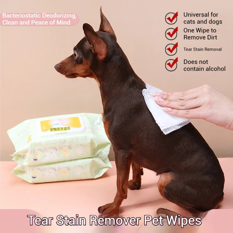 Pet Grooming Wipes - 3 Packs of 80