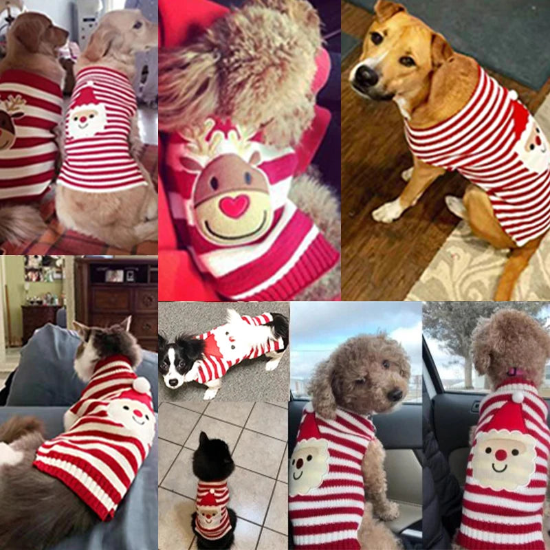 Christmas Dog Jumper – Knitted Holiday Sweater for Small & Large Dogs