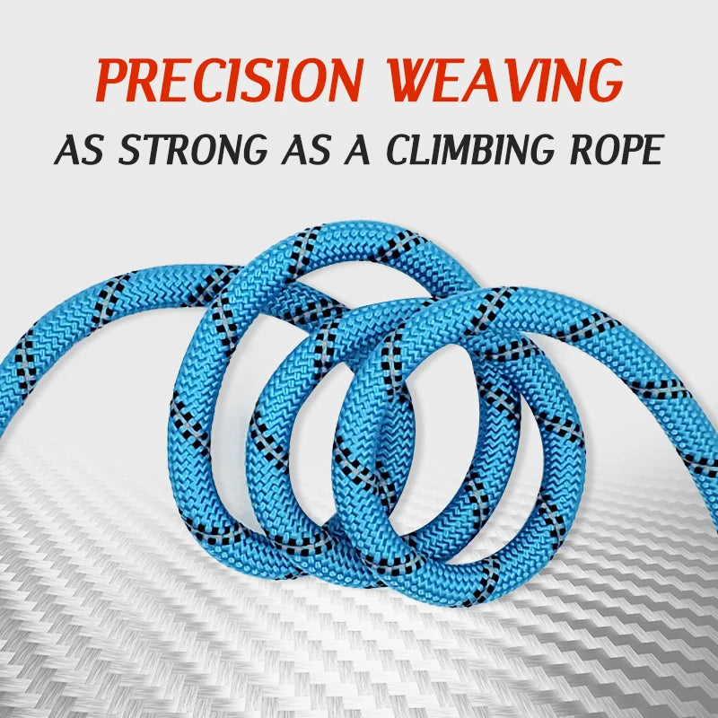 Reflective Dog Leash – Padded Handle Nylon Lead