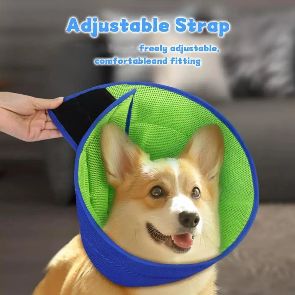 Soft Recovery Collar for Dogs & Cats